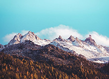 星空活动-开云体育:开启你的专属体育新纪元